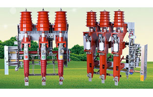 今天這篇文章由高壓負(fù)荷開關(guān)生產(chǎn)廠家雷爾沃電器小編給大家整理的，主要和大家聊一聊關(guān)于怎樣使用和維護(hù)高壓負(fù)荷開關(guān)的問(wèn)題，希望能夠幫助到有需要的朋友。
